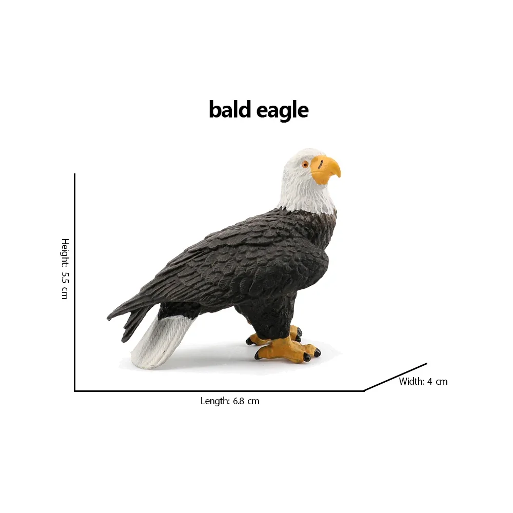 Bald Eagle pelican Tucan Turke - đánh giá và giá Kids Toys Under 200